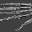 4.png Human Hand Skeleton (Articulated Bones)