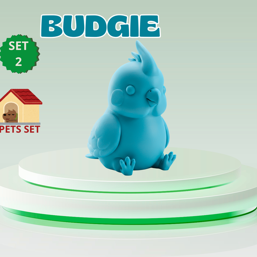 Cute Mini Budgie – Commercial
