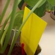 DSC_2351.jpg Yellow-sticker holder for plants against flies / Yellow-sticker holder for plants against flies