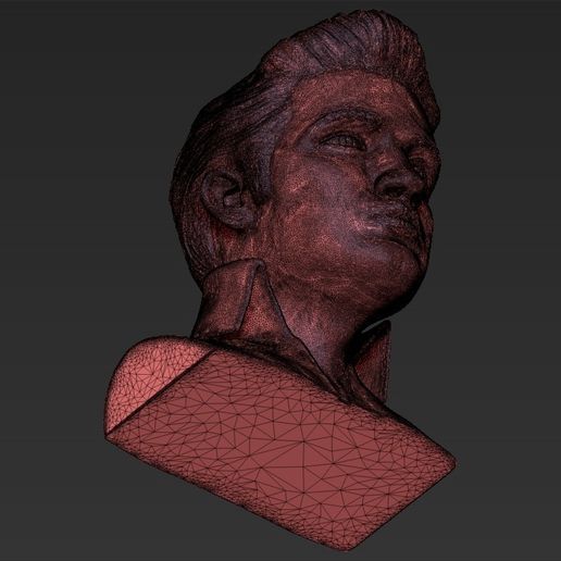 25.jpg 3D file Elvis Presley bust 3D printing ready stl obj・Template to download and 3D print, PrintedReality