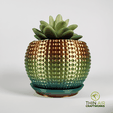 diamond-planter-with-drip-tray.png Textured Planter Series