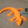Gelenkiger-Gecko.png Gecko articulé