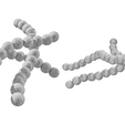 Streptococcus_Pyogenes_Render_1.png Streptococcus Pyogenes Bacteria