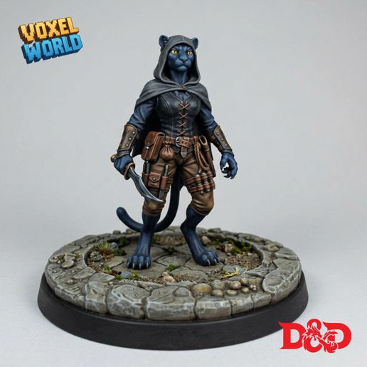 Tabaxi Black Panther Rogue Assassin D&D