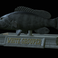 White-grouper-open-mouth-statue-22.png fish white grouper / Epinephelus aeneus open mouth statue detailed texture for 3d printing