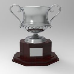 661.jpg Archivo STL COPA・Modelo de impresora 3D para descargar