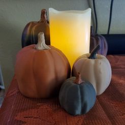 20221003_155437.jpg Free STL file Organically-Styled Decorative Pumpkins [SET OF 2]・3D printable design to download