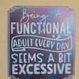 20240114_021943.jpg Being a Functional Adult every Day seems a bit excessive Funny sign, Dual Extrusion, Sarcastic sign, Wall hanger, Wall Decor