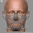 20.jpg Wolf Face Mask Cosplay - High Quality Details 3D print model