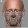 20.jpg Masque de loup Cosplay - Détails de haute qualité Modèle d'impression 3D