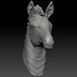 4.jpg 3d print model of Zebra head.