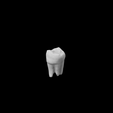 Shapr-Image-2022-11-03-162123.png Human Tooth (Wisdom Tooth, Third Molar, M3)