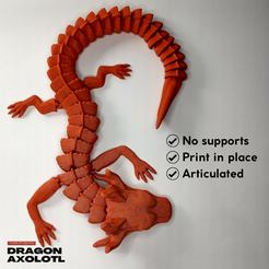 () No supports ©) Print in place ~) Articulated DRAGON AXOLOTL STL file ARTICULATED DRAGON AXOLOTL - PRINT IN PLACE - NO SUPPORTS・3D printing template to download