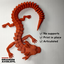 () No supports ©) Print in place ~) Articulated DRAGON AXOLOTL ШАРНИРНЫЙ ДРАКОН АКСОЛОТЛЬ - ОТПЕЧАТОК НА МЕСТЕ - БЕЗ ОПОР