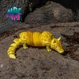 02.jpg Articulated Armadillo