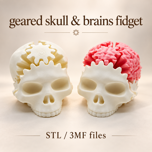 Geared Skull & Brains Fidget Bundle