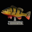peacock-bass-trophy-1-1-5.png Peacock bass (Cichla ocellaris) fish in motion trophy statue for 3d printing