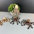 IMG_3761.jpg Flexi Spider (Articulated)