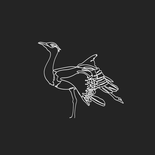 Australian Bustard 1 lineart 3d printed 3D model preview