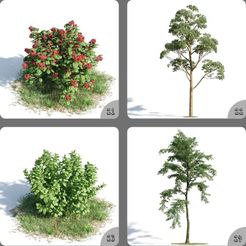 osIscNe4.jpeg Fichier 3D Collection de plantes Modèle 3D Fleurs et arbres Décoration d'intérieur 21-24・Plan imprimable en 3D à télécharger