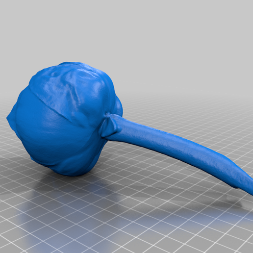 Lotus flower（generated by Revopoint POP） 3D model