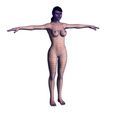 5.jpg Beautiful Naked woman 3D model