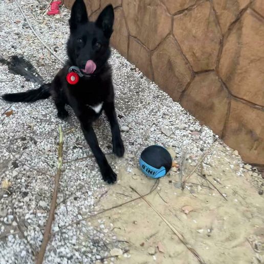 WhatsApp-Image-2023-03-16-at-05.39.05.jpeg AirTag