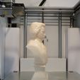 19.jpg Ludwig van Beethoven Bust  Model Printing Miniature Assembly File STL for 3D Printer FDM-FFF DLP-SLA-SLS