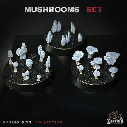 Photo-1.jpg Champignons - Morceaux de base