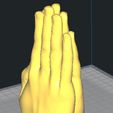 hand_pray.jpg Hand (Multiple Poses & Models)