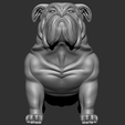 bulldog2.png BULLDOG_INGLES_SCULPTURE_DOG_BULDOGS