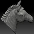 12.jpg 3d print model of Zebra head.