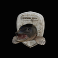 northern-pike-2.png head trophy NORTHERN PIKE (ESOX LUCIUS) open mouth statue detailed texture for 3d printing