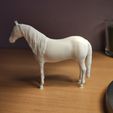 IMG_20210224_145959.jpg Fichier 3D Cheval andalou・Modèle à imprimer en 3D à télécharger