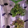 hydroponic-tower-barrie.jpg Modular Hydroponic Tower - Complete System