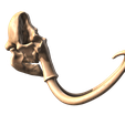 5.png Mammoth skull