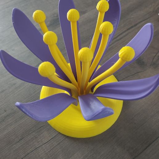 1LOTUS.jpg Lotus drainer