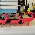 20181201_141847.jpg Santa & Reindeer ornaments