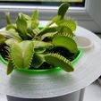 20190731_162938.jpg Collar Flange for Self-Watering planter