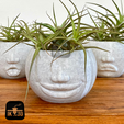 6.png Funny Facial Expression Planters Set of 4 / Candle Holders / Containers