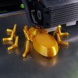 20191005_220438.jpg Fichier STL gratuit Skully the spider・Design pour imprimante 3D à télécharger