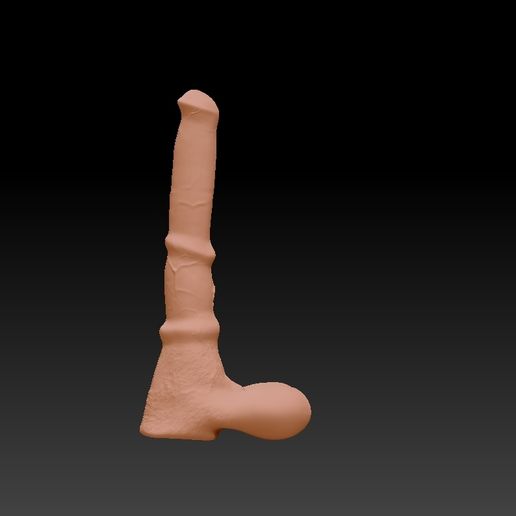 pferdeschwanz dildo Haar Spirale Frisurenhilfe Braider Pferdeschwanz Flechten  Styling-Zubehör-Set