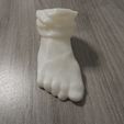 DSCN0503.JPG Free OBJ file Foot (Scan)・3D printable object to download