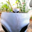 IMG20230825151222.jpg Alien Halloween Decoration, Plant Pot, Flowerpot, Bowl, Vase