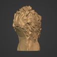 I13.jpg Low Poly Lion Bust