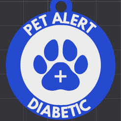 Screenshot-2024-02-20-210859.png Diabetic Dog Tag