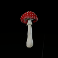 Julia_Gordienko_5_2021-09-07_10-11-34.png Amanita mushrooms