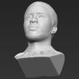 23.jpg Chad Boseman Black Panther bust 3D printing ready stl obj formats