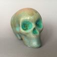 IMG_2.jpg Skull Lee