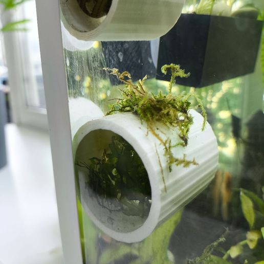 1000027271.jpg Укрытие улиток и креветок.